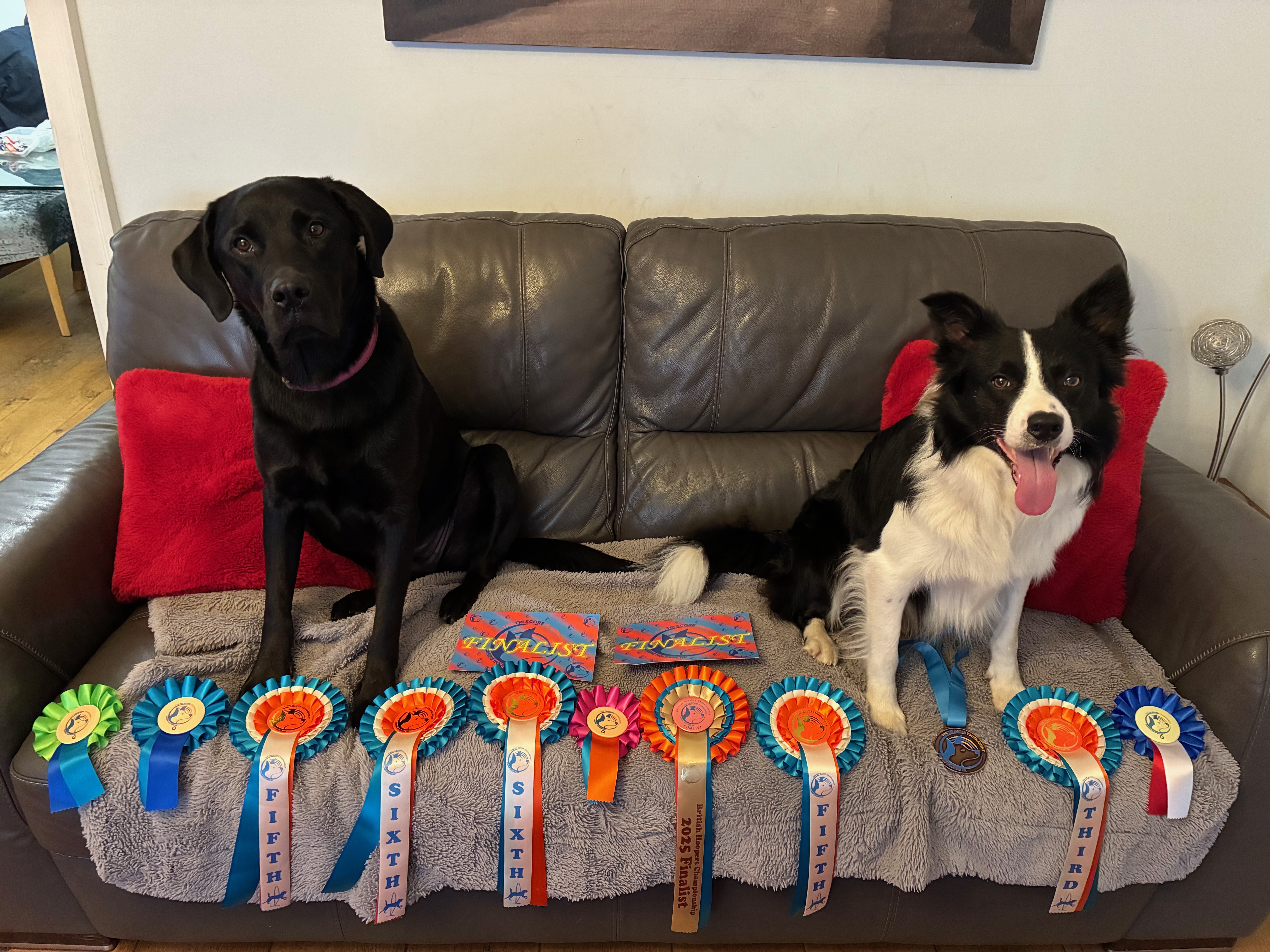 Lola and Sam with their British Hoopers Championship 2025 Finalist rosettes