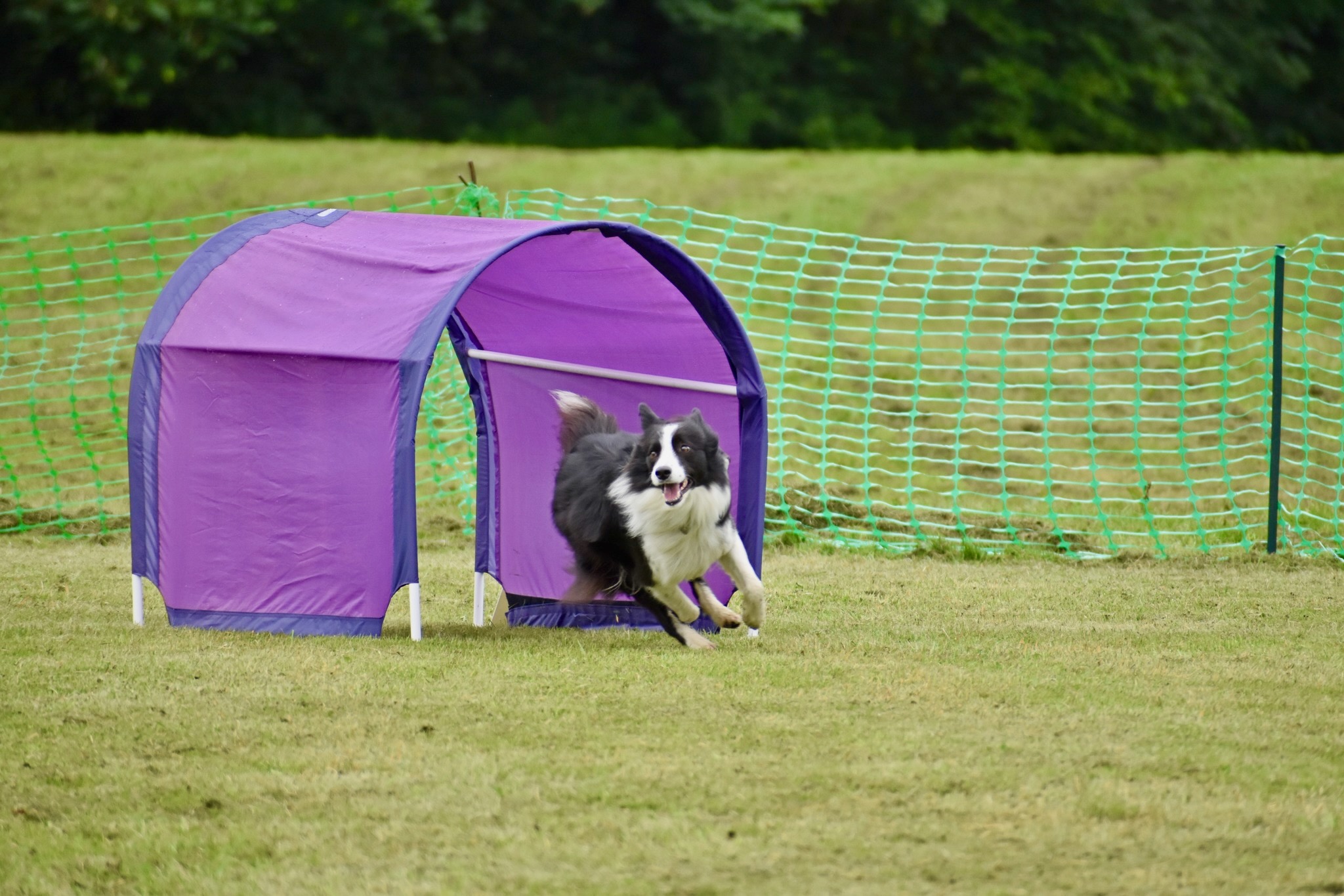 Sam flying out of a tunnel