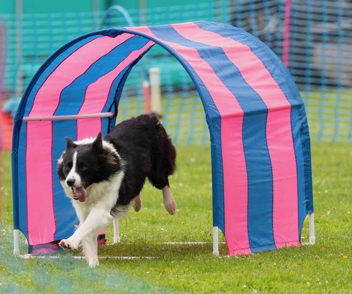 Sam flying through a tunnel