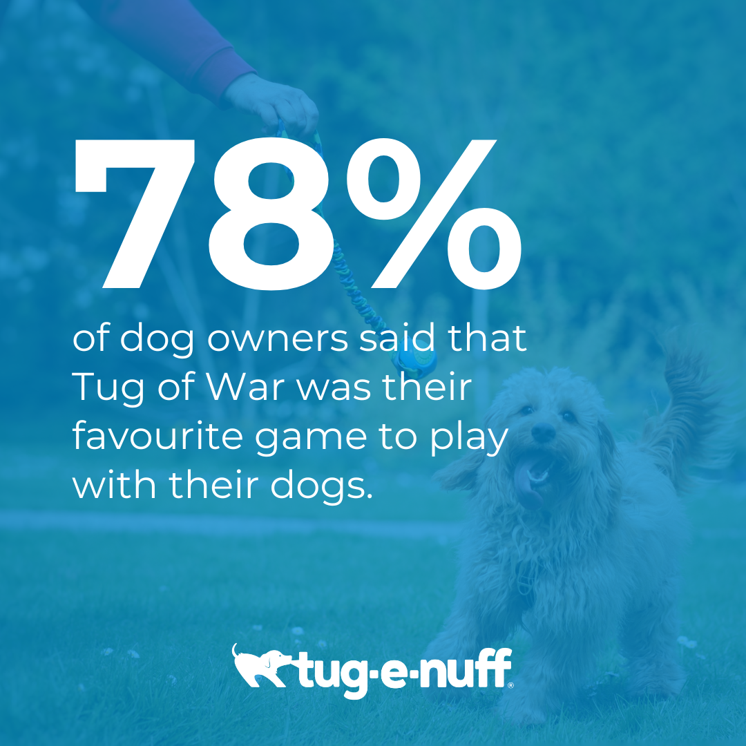 78% of dog owners said Tug of War was their favourite game to play with their dogs