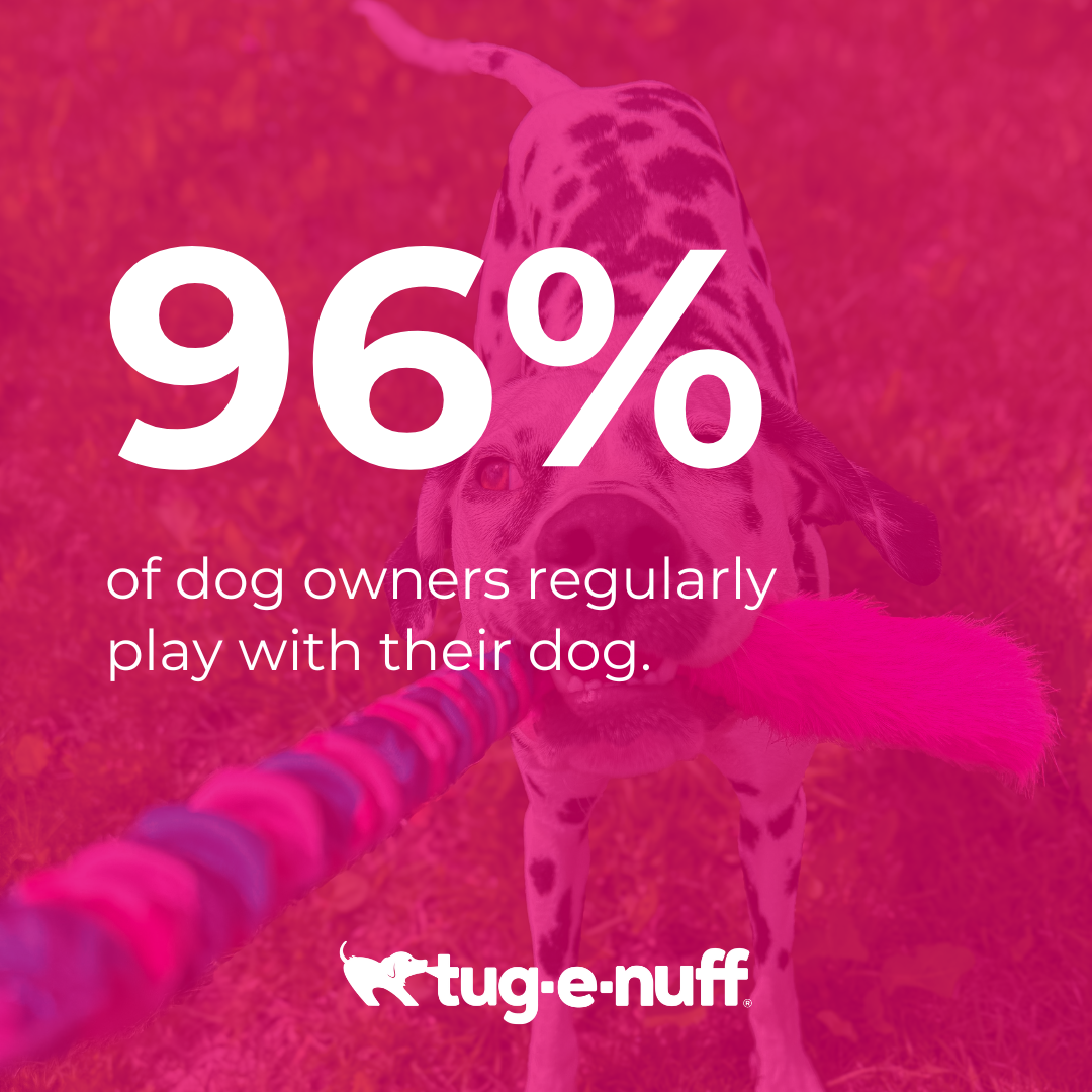 96% of dog owners regularly play with their dog