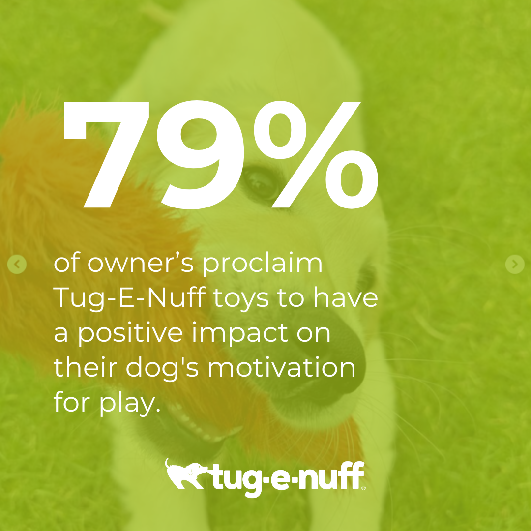 79% of owners proclaim Tug-E-Nuff toys to have a positive impact on their dog's motivation for play